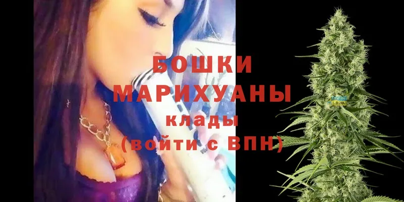 Канабис OG Kush  Карабулак 